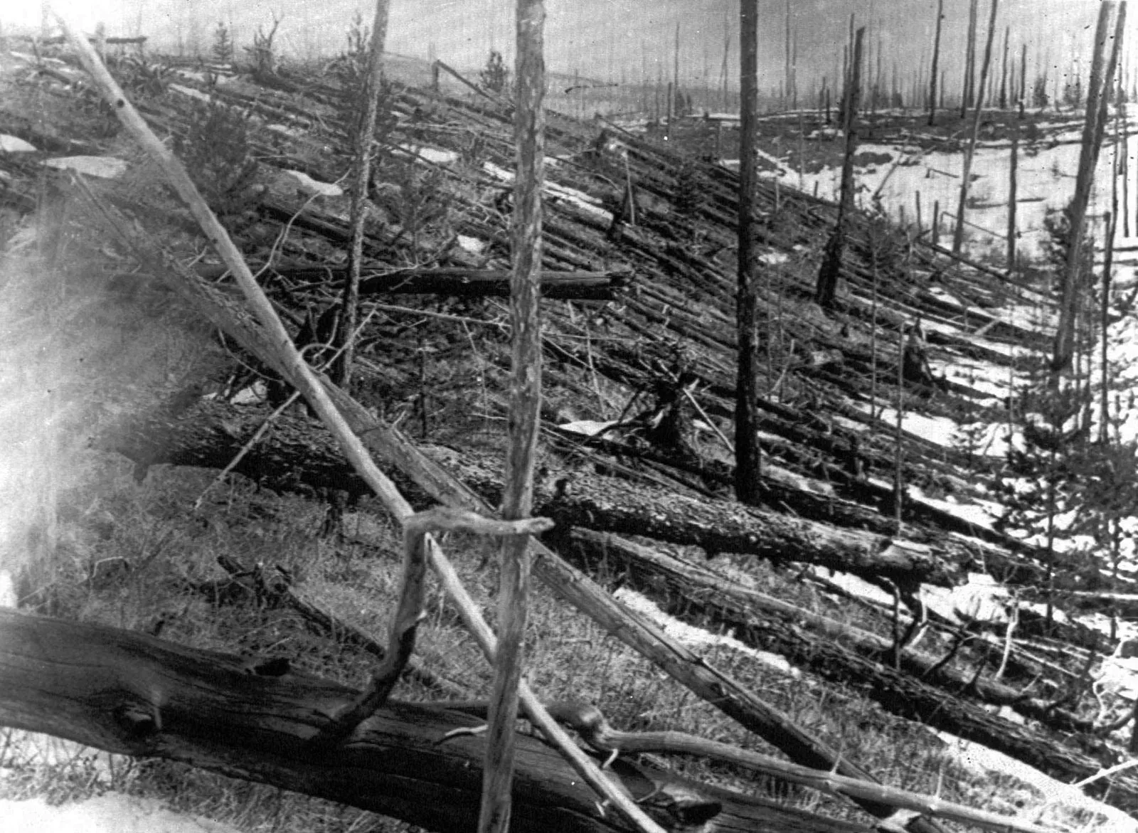 What Was the Largest Meteor Explosion in the World? Unravelling the Mysteries of the Tunguska Event