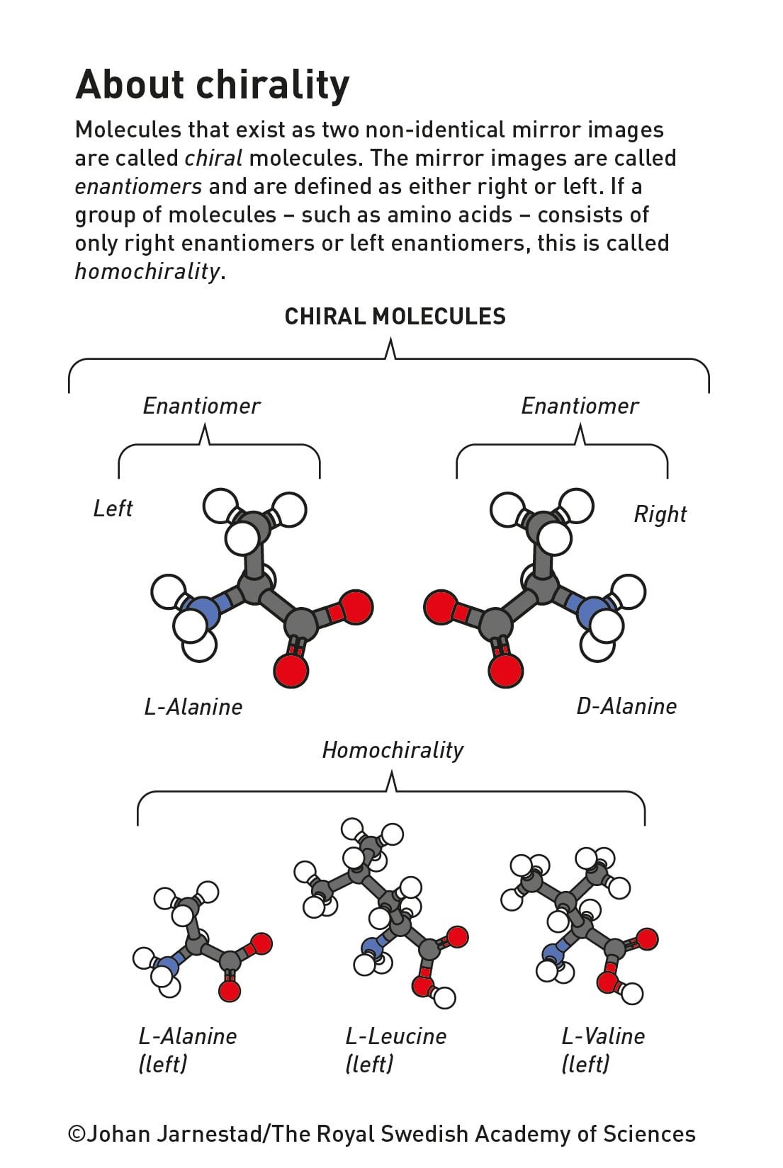 Diagram of left- and right-handed forms of the amino acid alanine and of homochirality